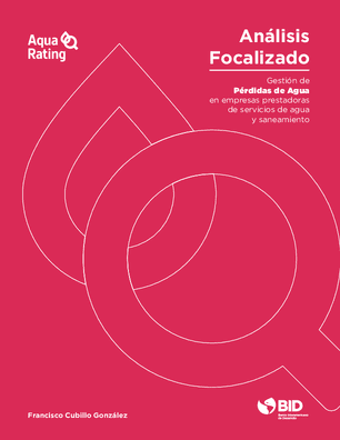 Pérdidas y agua no facturada